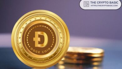 ¿Es Posible que Dogecoin Alcance $1, $5 o $10 con 146B en Circulación? ¡Descúbrelo Aquí! - Cripto Boom