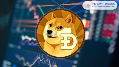 Con Nuevo Máximo Anual, Dogecoin Apunta a un Aumento Parabólico del 300% hasta $1: ¡Descubre Más! - Cripto Boom