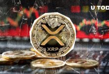 ¡XRP Dispara un 454% por Desequilibrio de Liquidaciones! Descubre Cómo los Osos Impulsan la Subida de Precio - Cripto Boom