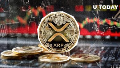 ¡XRP Dispara un 454% por Desequilibrio de Liquidaciones! Descubre Cómo los Osos Impulsan la Subida de Precio - Cripto Boom