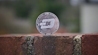 El precio de Dash se dispara a su máximo de cinco meses: ¡Apunta a los $38! - Cripto Boom