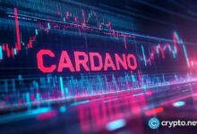 Cardano se destaca como líder en ganancias; ¡BTC se acerca a $80k! - Cripto Boom