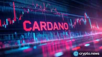 Cardano se destaca como líder en ganancias; ¡BTC se acerca a $80k! - Cripto Boom