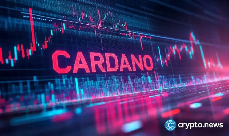 Cardano se destaca como líder en ganancias; ¡BTC se acerca a $80k! - Cripto Boom