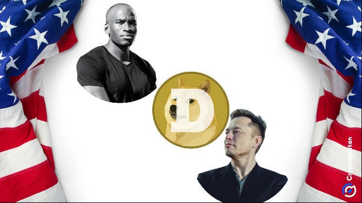 Hayes cuestiona el mandato de reducción de gastos de Musk pero sigue optimista con Dogecoin: ¡Descubre por qué! - Cripto Boom