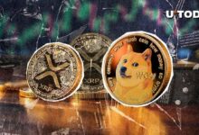 Trader Destacado Prefiere Dogecoin sobre XRP: Descubre Por Qué - Cripto Boom