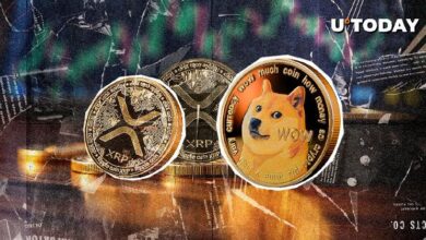 Trader Destacado Prefiere Dogecoin sobre XRP: Descubre Por Qué - Cripto Boom