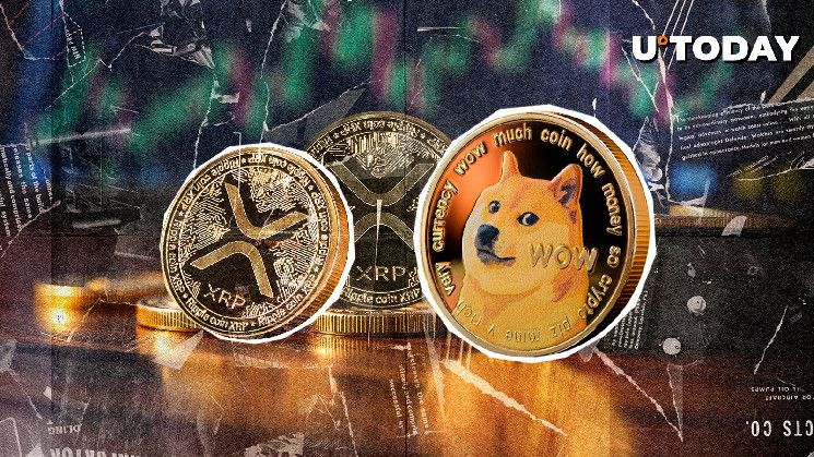 Trader Destacado Prefiere Dogecoin sobre XRP: Descubre Por Qué - Cripto Boom