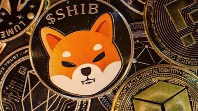 La gran apuesta de Shiba Inu: Blockchain Hub de $2.35 mil millones impulsa el precio de SHIB ¡Descubre más! - Cripto Boom