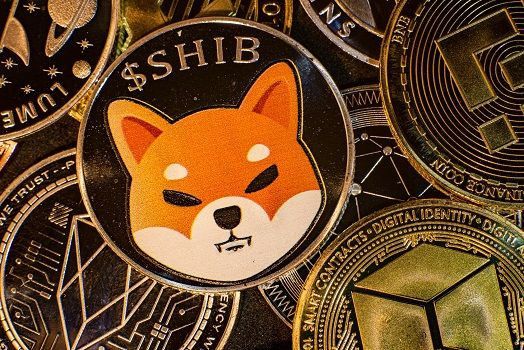 La gran apuesta de Shiba Inu: Blockchain Hub de $2.35 mil millones impulsa el precio de SHIB ¡Descubre más! - Cripto Boom