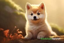 ¡BabyDoge se Lanza en Nexo Futures con Apalancamiento de Hasta 15x! - Cripto Boom