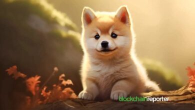 ¡BabyDoge se Lanza en Nexo Futures con Apalancamiento de Hasta 15x! - Cripto Boom