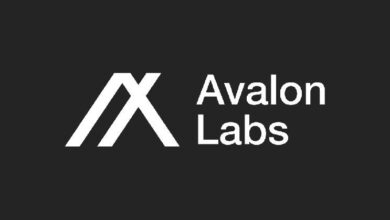 USDa: Stablecoin Respaldado por Bitcoin Alcanza Hito de 100M con Avalon Labs - ¡Descúbrelo! - Cripto Boom