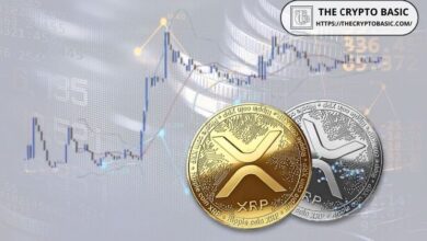 Gráfico de 7 Años de XRP Revela Soporte Inquebrantable, ¿Señal Alcista o Bajista? Descúbrelo Aquí - Cripto Boom