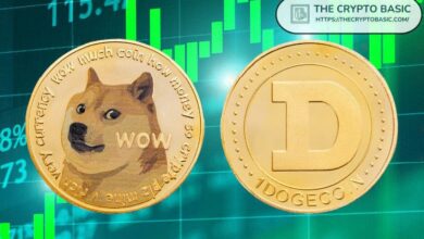 Descubre hasta dónde puede llegar Dogecoin en los próximos 6 meses: Predicción experta - Cripto Boom