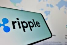 RippleNet y XRP: Eliminando Riesgos de Pagos Transfronterizos, Afirma Profesor de NYU - Descubre Cómo - Cripto Boom