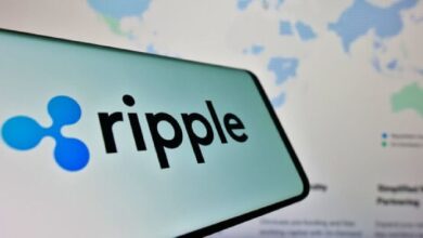 RippleNet y XRP: Eliminando Riesgos de Pagos Transfronterizos, Afirma Profesor de NYU - Descubre Cómo - Cripto Boom