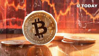 Bitcoin (BTC) Perdió $2 Mil Millones, Descubre Cómo - Cripto Boom