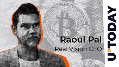 Raoul Pal Revela su Drama de 'Manos de Papel' de 2017: Descubre los Detalles - Cripto Boom