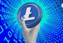 Litecoin se Renueva como Criptomoneda Meme: ¡Únete a la Unidad Blockchain! - Cripto Boom