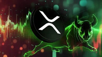 ¡XRP Sube un 6%! Apunta al Objetivo de $0.60 para la Próxima Semana - Cripto Boom