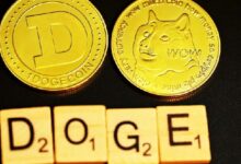 ¿Por qué está subiendo el precio de Dogecoin? Noticias de última hora y análisis de precio para noviembre de 2024 - Cripto Boom