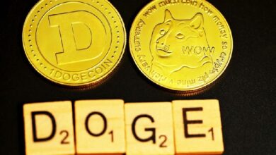 ¿Por qué está subiendo el precio de Dogecoin? Noticias de última hora y análisis de precio para noviembre de 2024 - Cripto Boom