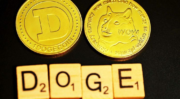 ¿Por qué está subiendo el precio de Dogecoin? Noticias de última hora y análisis de precio para noviembre de 2024 - Cripto Boom