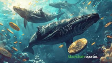 Gran Ballena de BTC Hace Olas: Se Transfieren $176.7M para una Posible Venta - Descubre Más - Cripto Boom