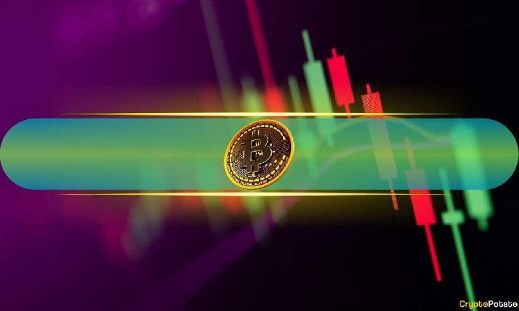 Bitcoin (BTC) se Consolida en $93K, ¡Altcoins Intentan Despegar! (Observatorio del Mercado) - Cripto Boom