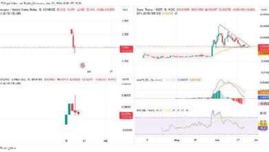 Tether Trade Finance Completa Primer Transacción de Petróleo Crudo en Oriente Medio: Descubre los Detalles - Cripto Boom