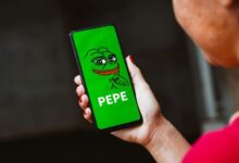 Ballena liquida 254 mil millones de tokens PEPE en medio de un mercado bajista persistente; ¿qué sigue para el precio de PEPE? ¡Descúbrelo! - Cripto Boom