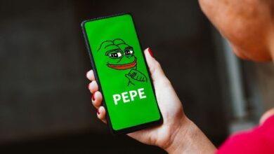 Ballena liquida 254 mil millones de tokens PEPE en medio de un mercado bajista persistente; ¿qué sigue para el precio de PEPE? ¡Descúbrelo! - Cripto Boom