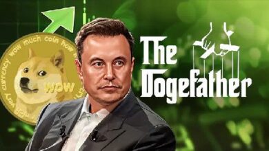 Elon Musk Presenta Retrato del 'Dogefather', ¡$DOGE Sube un 2.92%! - Cripto Boom