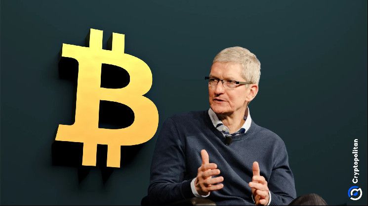 El CEO de Apple, Tim Cook, revela sus inversiones en criptomonedas de los últimos tres años - Cripto Boom