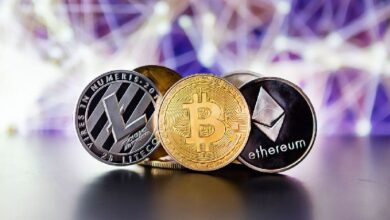 Bithumb Añade Raydium y Ponke Tokens: Descubre las Nuevas Oportunidades de Inversión - Cripto Boom