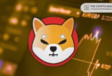 Equipo de Shiba Inu Afirma que SHIB Está Aquí a Largo Plazo: ¡Descubre los Planes para la Próxima Generación! - Cripto Boom