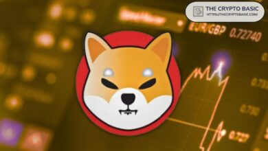 Equipo de Shiba Inu Afirma que SHIB Está Aquí a Largo Plazo: ¡Descubre los Planes para la Próxima Generación! - Cripto Boom