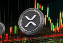 Ballena XRP Adquiere 105M de Tokens tras Fallo Judicial a Favor de Ripple: ¡Descubre Más! - Cripto Boom