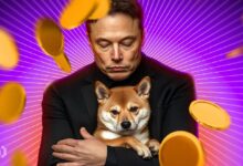 Día del Doge: Elon Musk y Todo lo que Impulsó a Dogecoin un 10% ¡Descúbrelo Ahora! - Cripto Boom