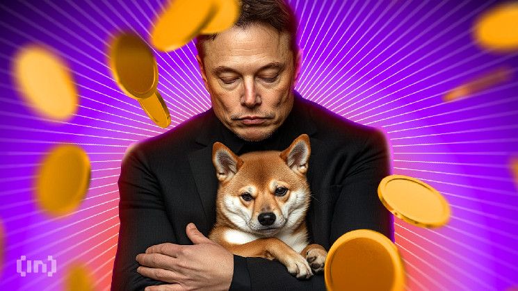 Día del Doge: Elon Musk y Todo lo que Impulsó a Dogecoin un 10% ¡Descúbrelo Ahora! - Cripto Boom