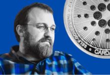 La comunidad de Cardano defiende a Charles Hoskinson frente a críticas en línea: Únete a la discusión - Cripto Boom