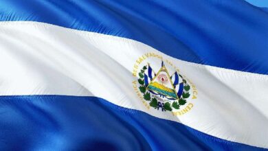 ¡Última Hora! El Salvador Obtiene un 81% de Ganancias con la Adquisición de 722 BTC: Descubre Más - Cripto Boom