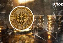 5 Indicadores Clave para Anticipar el Próximo Movimiento de Ethereum: ¡Descúbrelo! - Cripto Boom