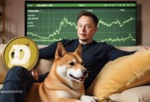 ¡El Precio de Dogecoin se Dispara Después del Nuevo Tuit de Elon Musk! - Cripto Boom