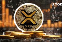 El Precio de XRP Apunta a una Divergencia Alcista: ¡Descubre los Posibles Escenarios! - Cripto Boom