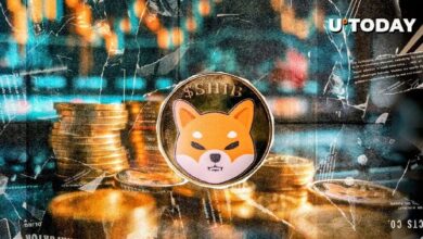 ¡5.72 Trillones de SHIB en 24 Horas! El Precio de Shiba Inu se Dispara un 8% - Cripto Boom