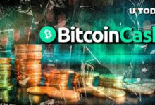 Bifurcación de Bitcoin, Bitcoin Cash (BCH), Activa Importante Actualización: ¡Descubre los Detalles! - Cripto Boom