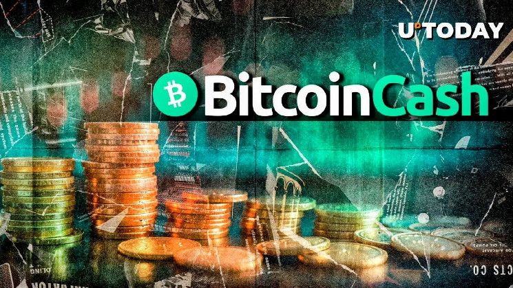 Bifurcación de Bitcoin, Bitcoin Cash (BCH), Activa Importante Actualización: ¡Descubre los Detalles! - Cripto Boom