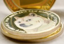 ¡Llega la Fiebre de Dogecoin a Corea! Regresa el ‘Kimchi Premium’ con el Rally de DOGE del 110% - Cripto Boom